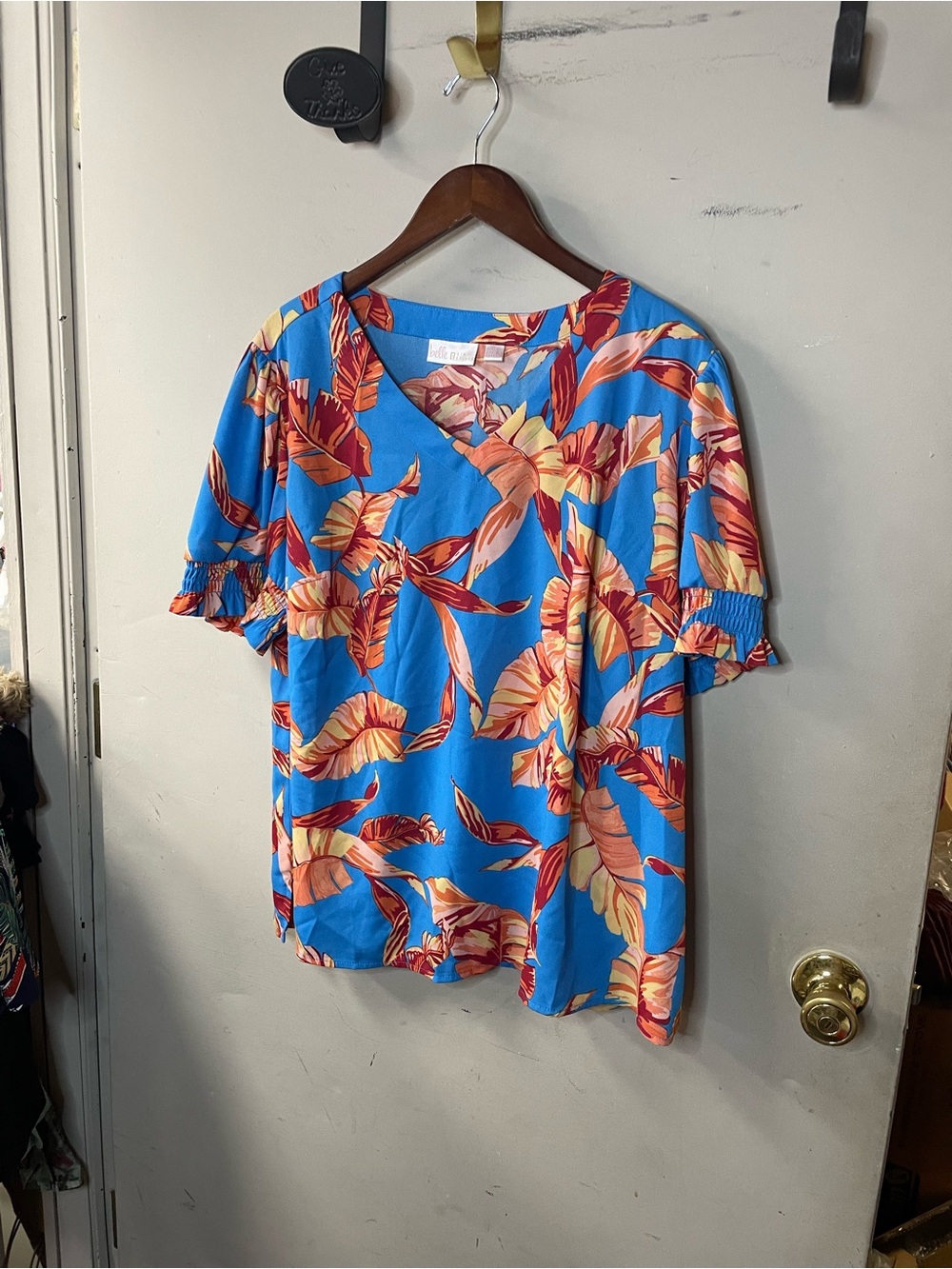 Belle by Kim Gravel plus size , smocked sleeve, v neck pullover blouse
